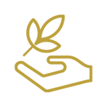 icon-homeopathie Homeopathie<br />